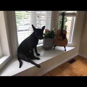 Meet your Posher, Jenet